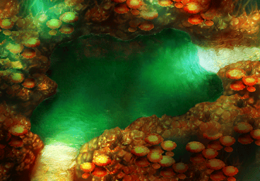 File:Home hydra mash deep 2.png