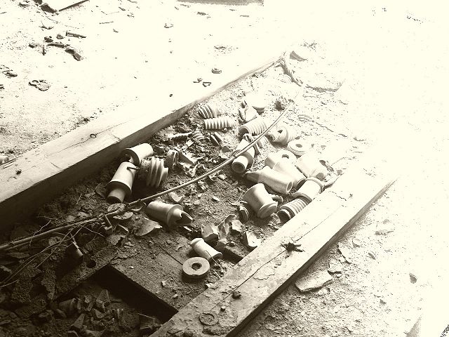 File:Lirback05.jpg