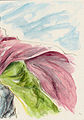 Thumbnail for version as of 23:57, 16 August 2011