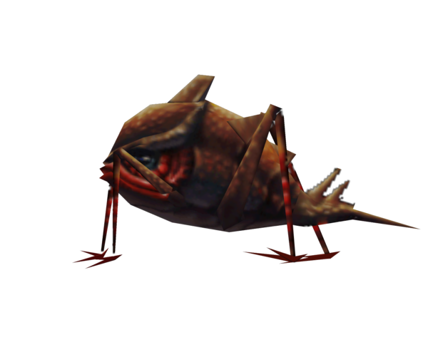 File:Gerridae Left 1280x1024.png