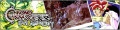 Thumbnail for version as of 04:42, 22 August 2005