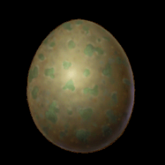 Big Egg