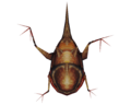 Gerridae Top 1280x1024.png