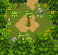 Forest Maze (CTP).png