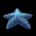 Star Fragment.png